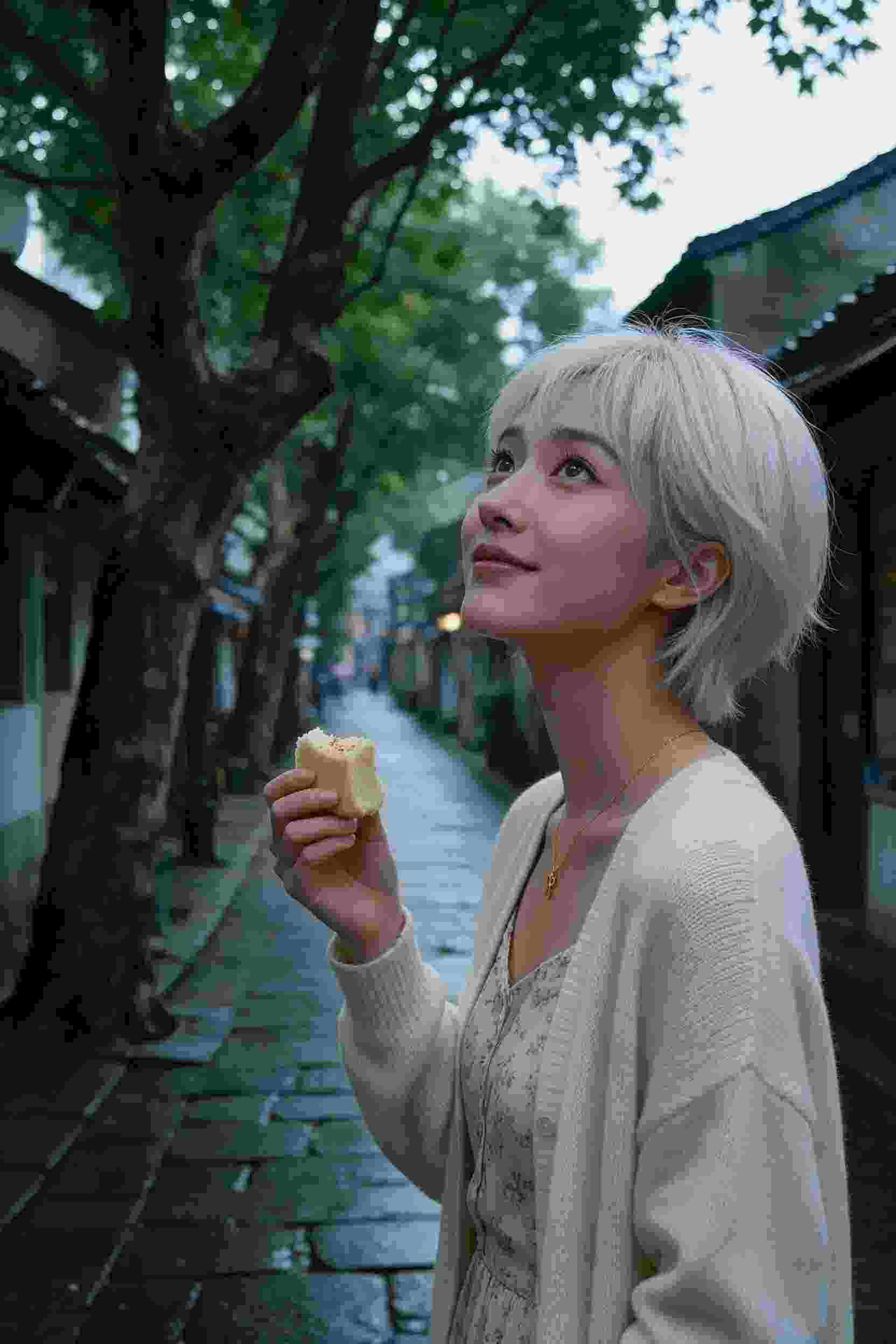 约定的梦幻岛